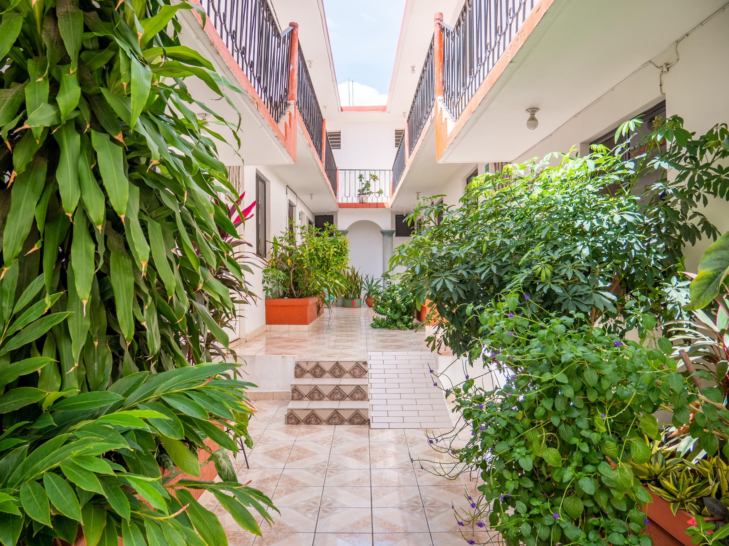 Oyo Hotel Arena Surf, Puerto Escondido Exteriör bild